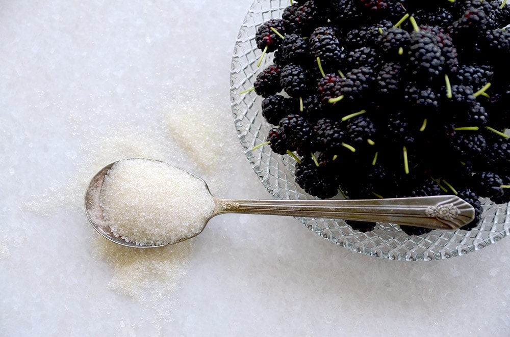Sugar on Spoon Web - Mulberry Lemon Gin Fizz