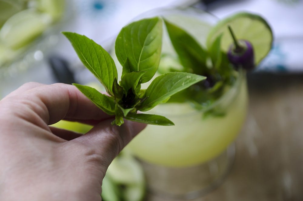 Spicy Thai Basil Cucumber Cocktail Thai Basil Closeup Web - Spicy Thai Basil Cucumber Cocktail