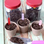 Starting Seeds Web 150x150 - Beat the winter blues with garden planning
