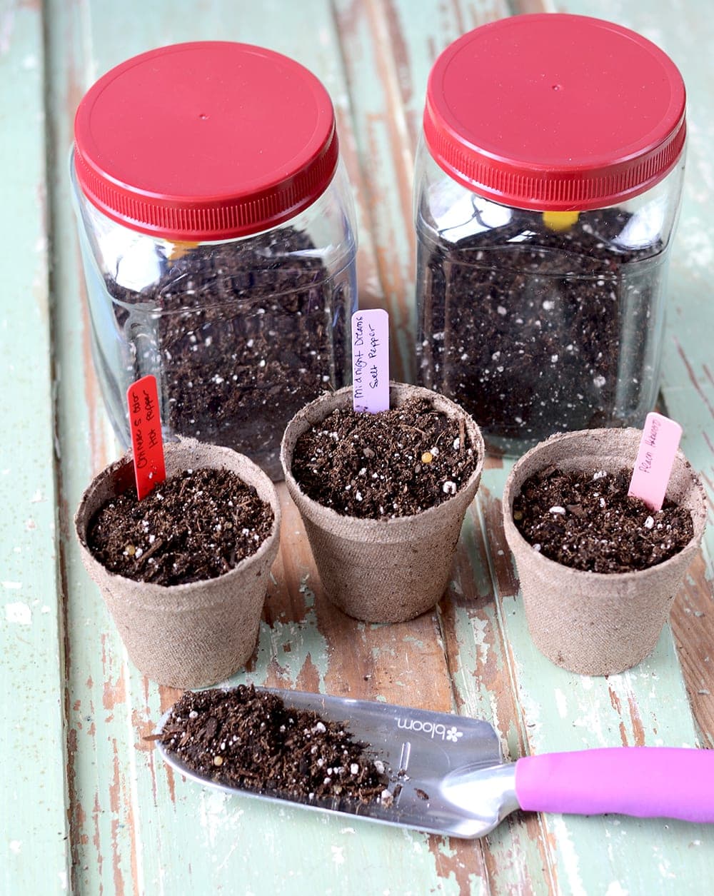 Starting Seeds Web - Seed Starting Tips for Heirloom Vegetable Gardeners