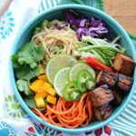 Sesame Cashew Noodle Salad Bowls are just the thing for hot summer meal. They are loaded with a rainbow of colorful fruits and vegetables, shrimp or tofu.