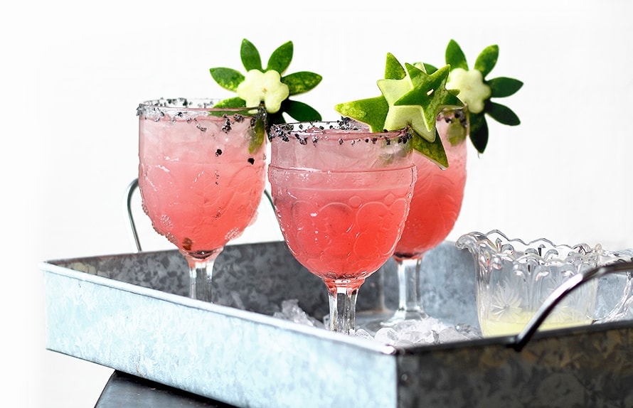 Watermelon Margaritas Horizontal Web 2 - Stylish Cocktail Gifts for the Home Bar