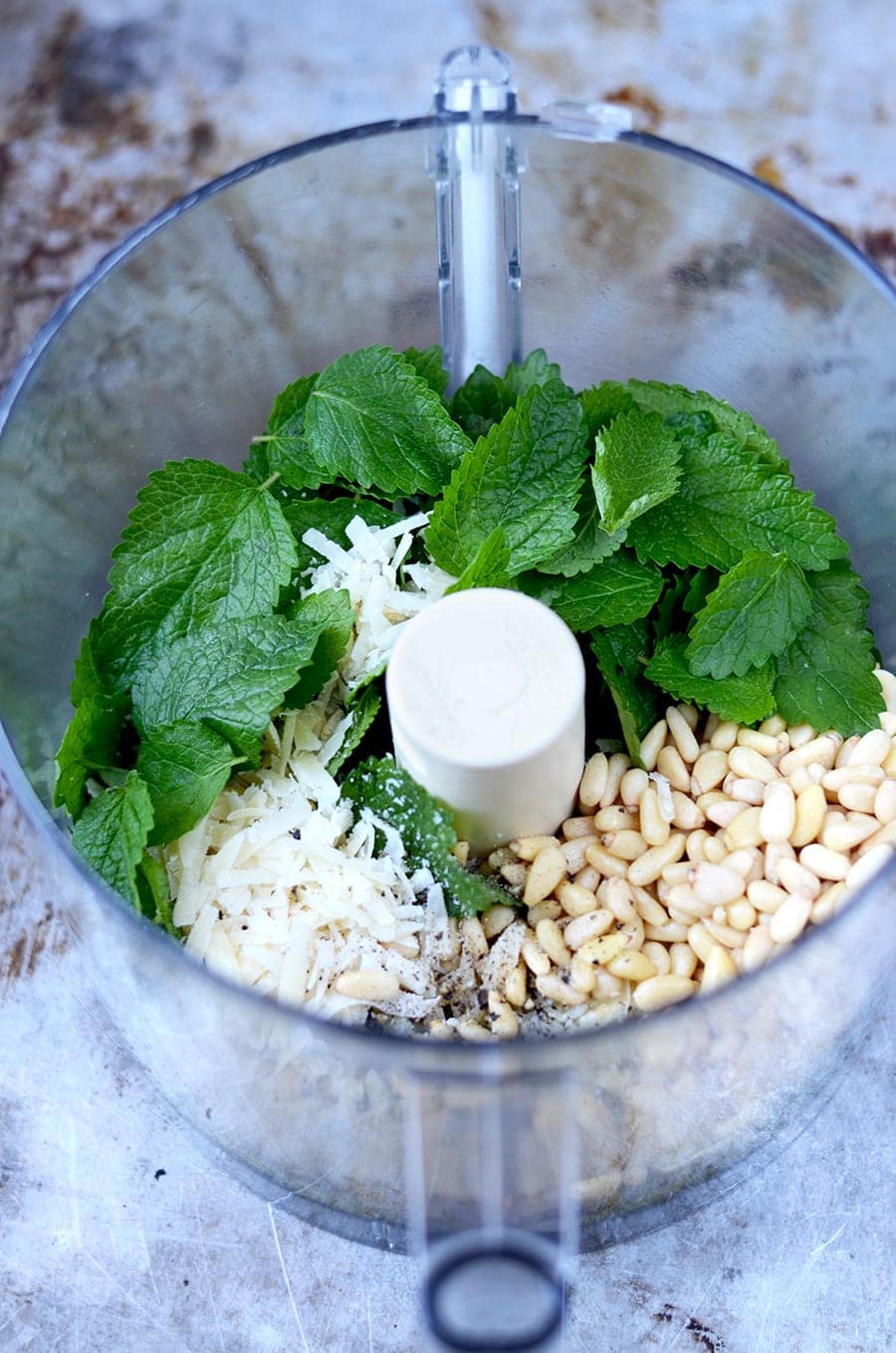 Food Processor Whole Angle Web - Lemon Balm Pesto