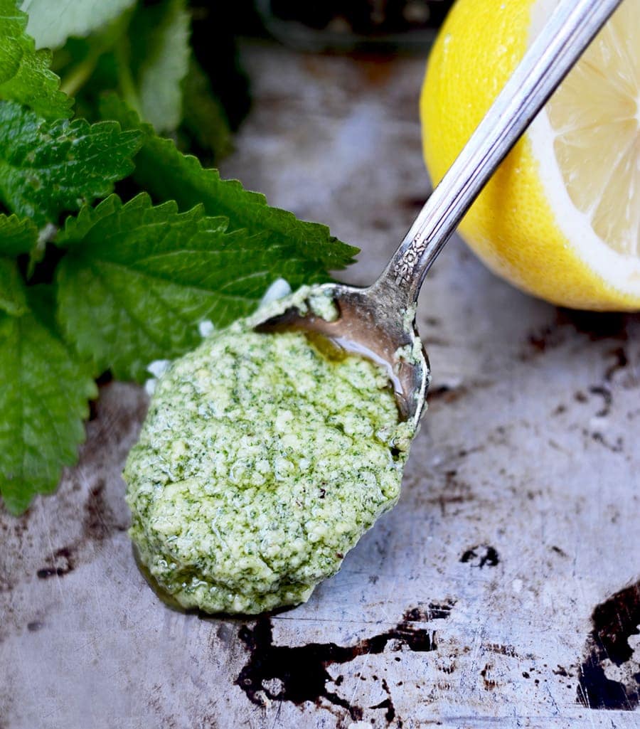 Lemon Balm Pesto on Spoon 2 Web 2 - Lemon Balm Pesto