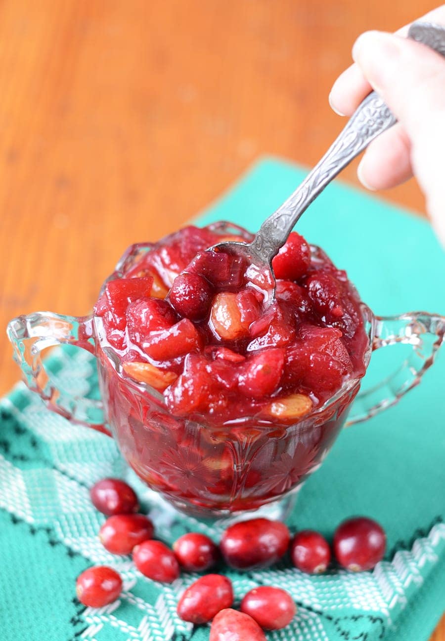 Spoon in Cranberry Chutney Web - Cranberry Chutney with Apples, Raisins and Indian Spices
