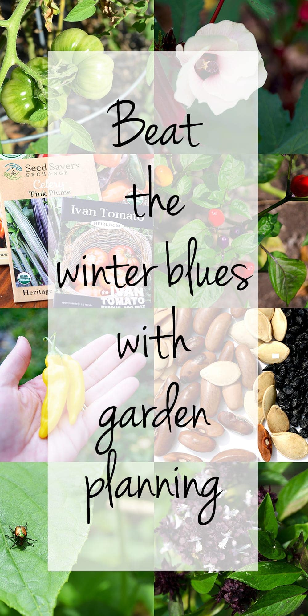 Vertical Seed Collage with Overlay - Beat the winter blues with garden planning