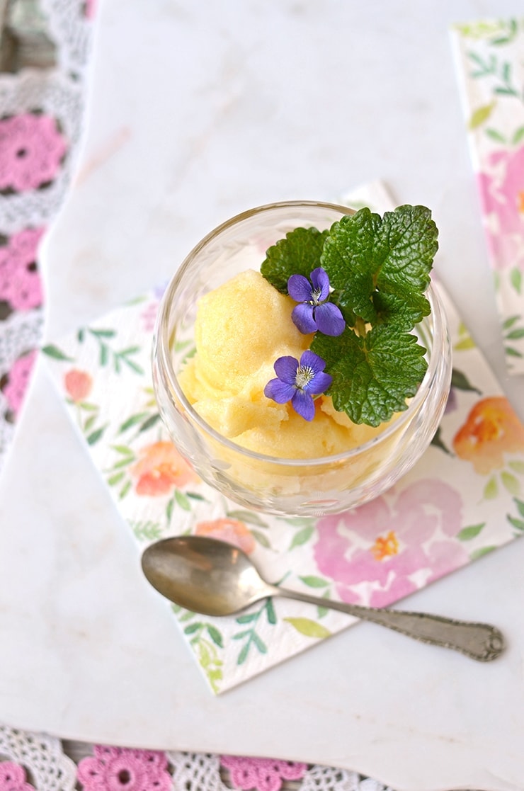 Pineapple Sorbet Top Down Web - Prosecco Pineapple Sorbet Floats