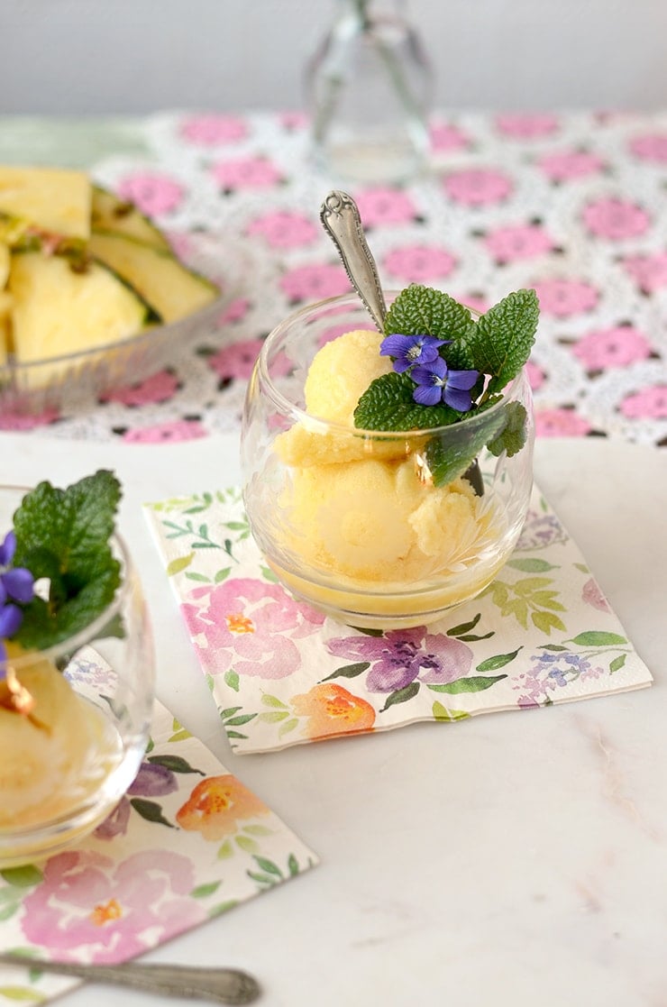 Sorbet Web - Prosecco Pineapple Sorbet Floats