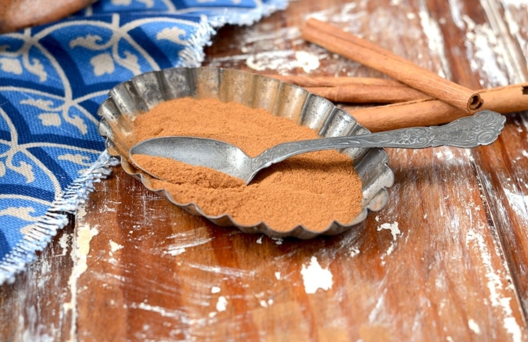 Cinnamon Web - Snickerdoodle Cupcakes