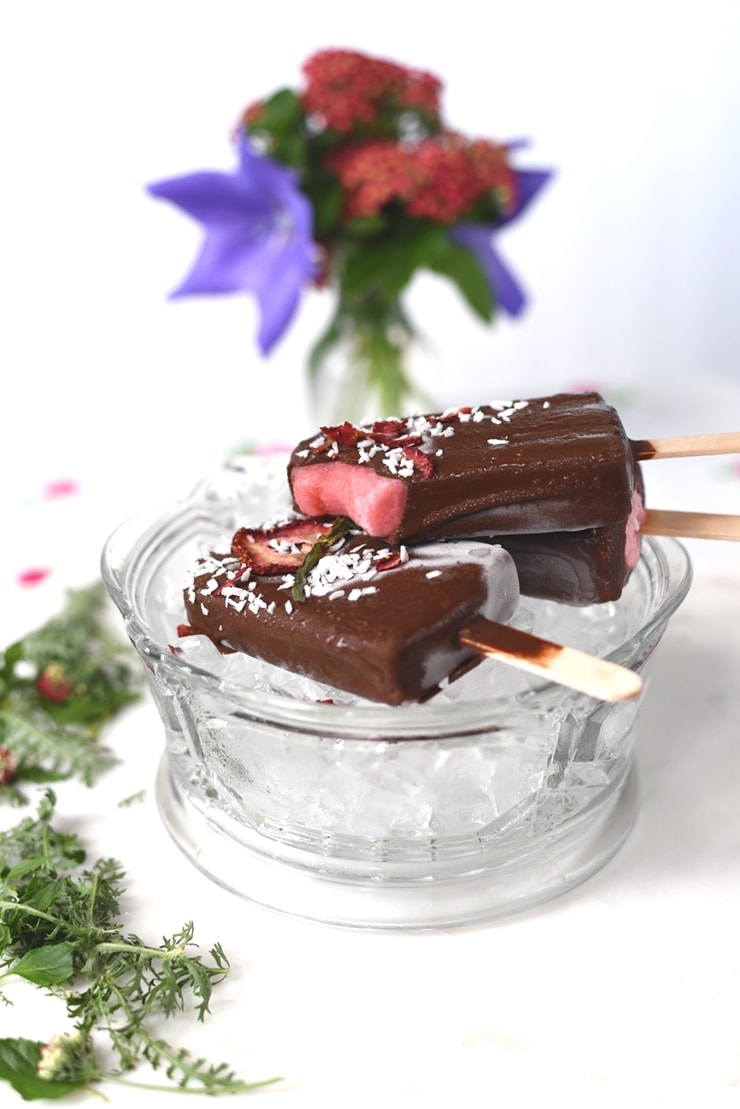 Chocolate Dipped Strawberry Coconut Popsicles 0464 Web - Chocolate Dipped Strawberry Coconut Popsicles