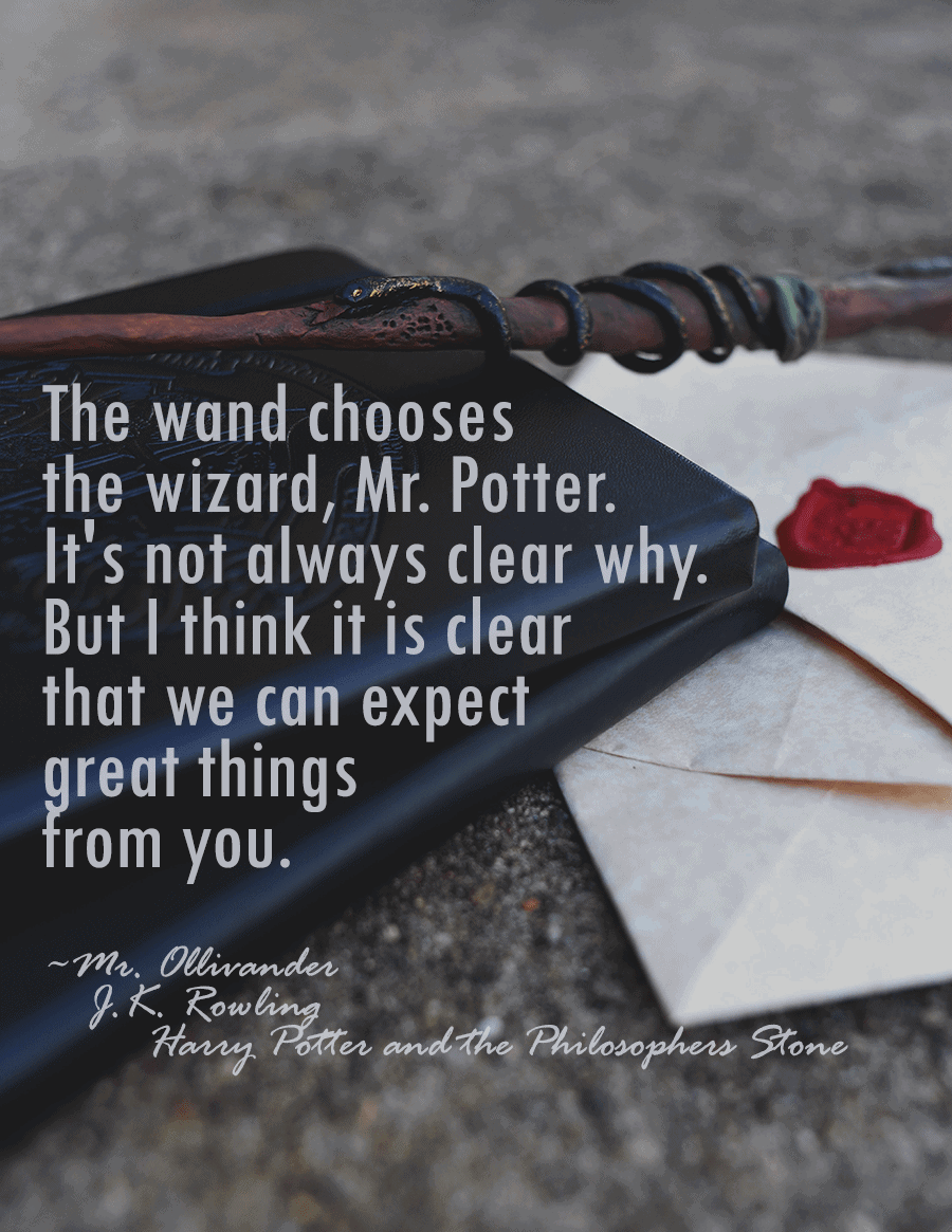 Harry Potter and the Philosophers Stone Web - DIY Harry Potter Wands