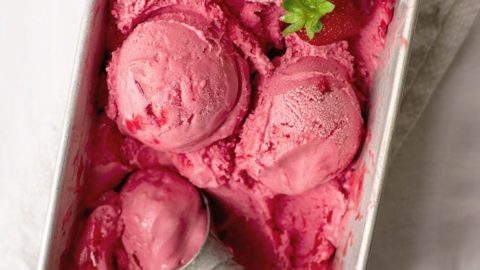 Frozen Yogurt, Ice Cream & Sorbet Maker + Extra Bowl (Red