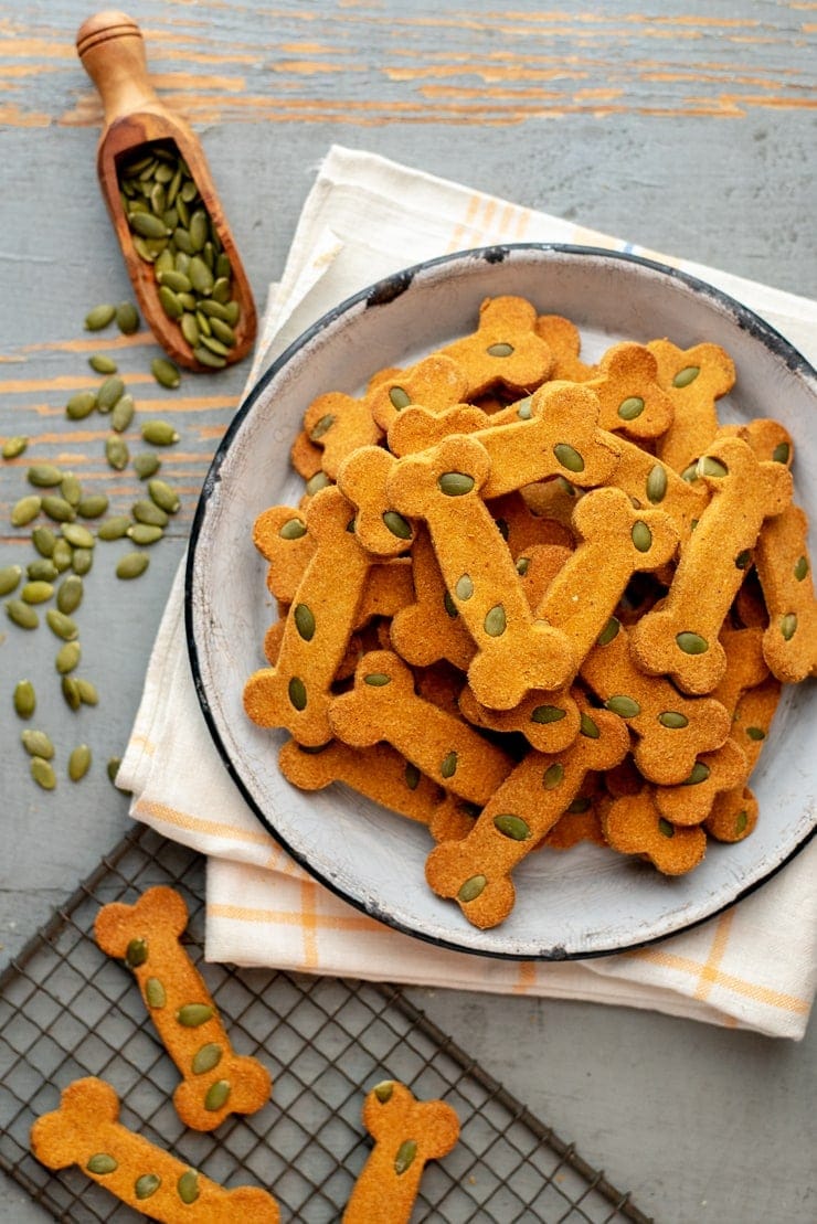 Pumpkin Spice Dog Treats